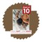 Aged Oak Brown Mat Board for 11x17 Frames - Fits 9.5x13 Photos